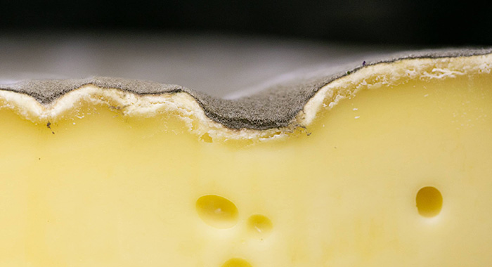 fromage pâte pressée non cuite Saint-Nectaire Marseille