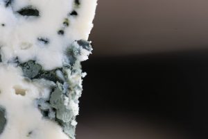 fromage persille bleu roquefort gorgonzola bleu d'auvergne
